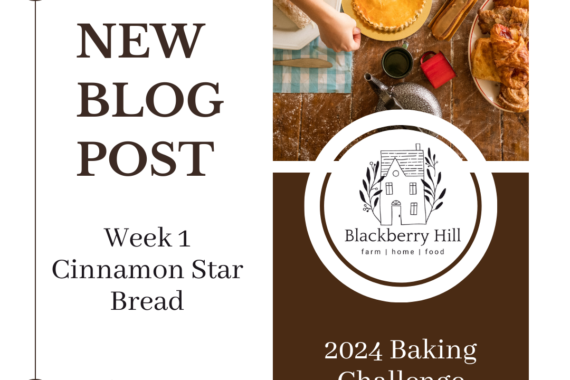 2024 Baking Challenge - Week 1 Cinnamon Star Bread