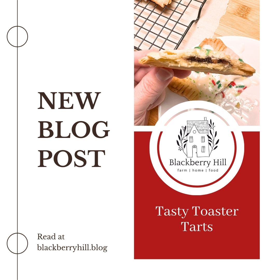 2024 Baking Challenge Week 2 - Tasty Toaster Tarts